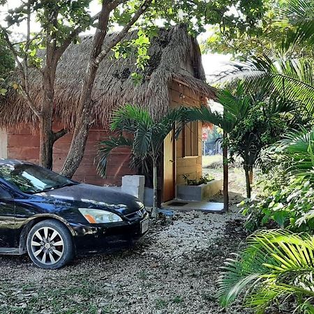 Cabanas Chaac Calakmul إكسبوجيل المظهر الخارجي الصورة
