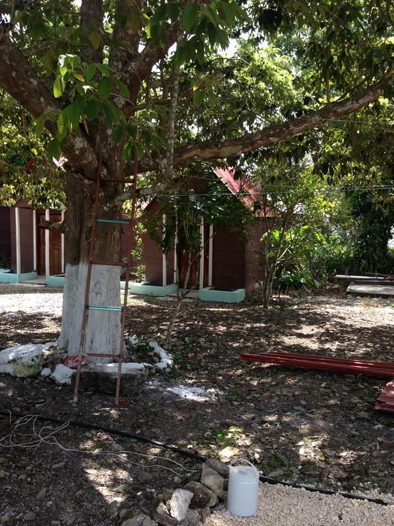 Cabanas Chaac Calakmul إكسبوجيل المظهر الخارجي الصورة