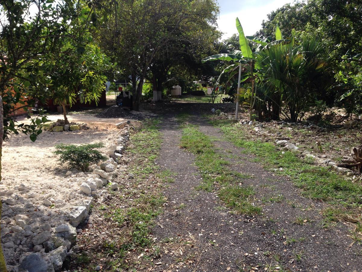 Cabanas Chaac Calakmul إكسبوجيل المظهر الخارجي الصورة