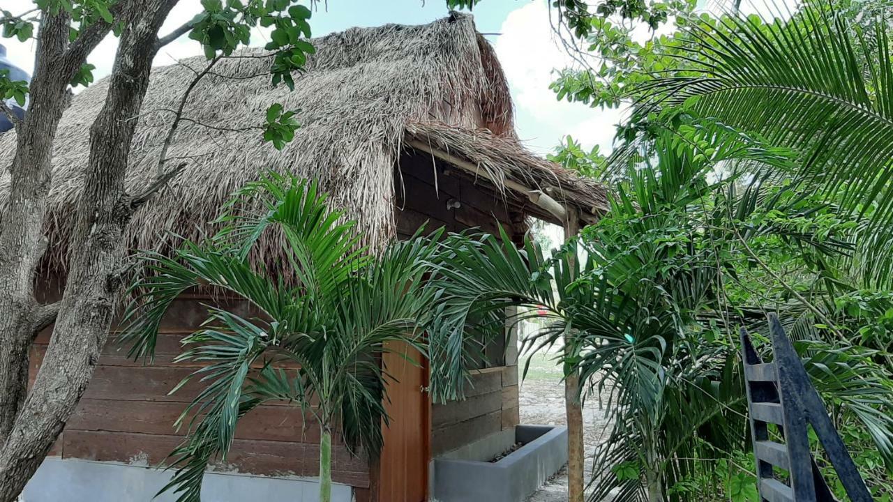 Cabanas Chaac Calakmul إكسبوجيل المظهر الخارجي الصورة